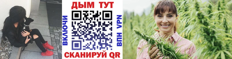 Бошки Шишки MAZAR  гидра   Сорск 